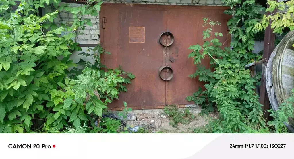 Помещение свободного назначения в Нижегородская область, Заволжье г. ... - Фото 1