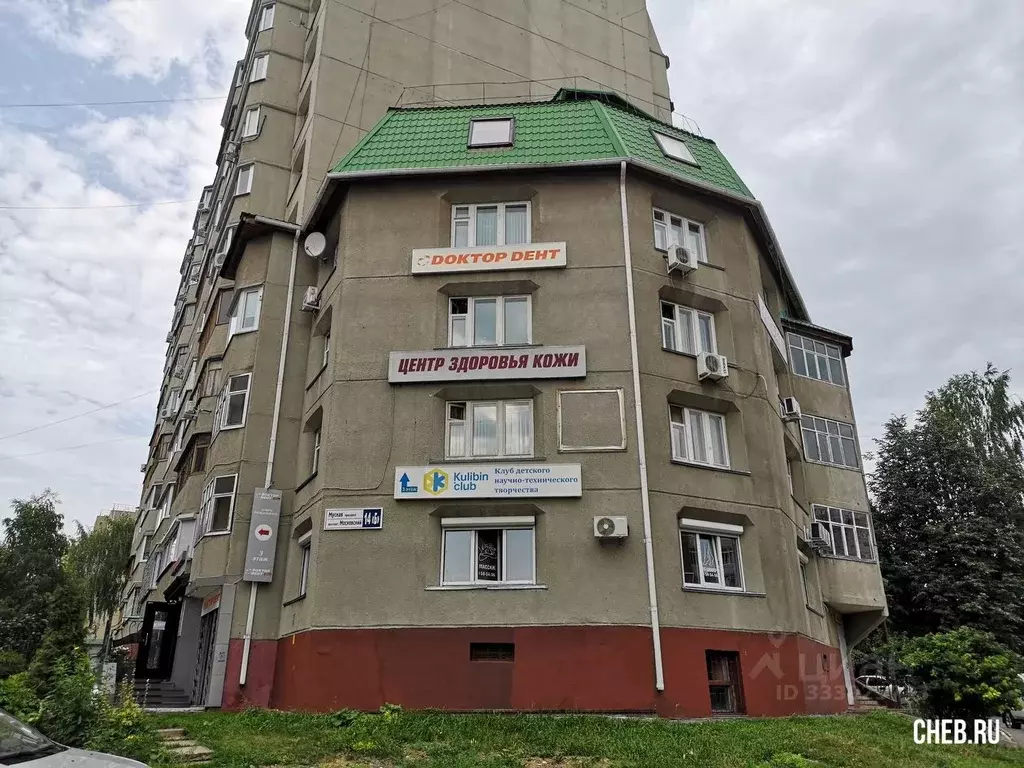 Офис в Чувашия, Чебоксары Московский просп., 14Б (26 м) - Фото 2