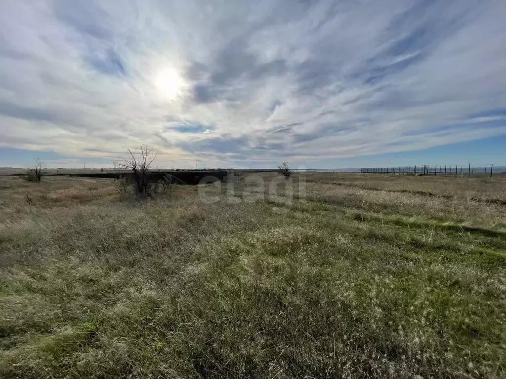 Участок в Крым, Ленинский район, Белинское с/пос, с. Новоотрадное ул. ... - Фото 1