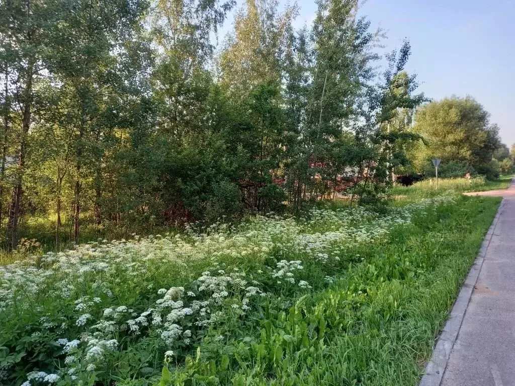 Участок в Московская область, Одинцовский городской округ, пос. Часцы ... - Фото 0