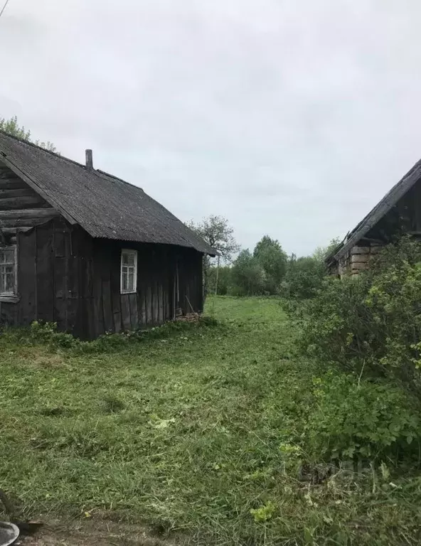 Дом в Псковская область, Печорский муниципальный округ, д. Костино  ... - Фото 0