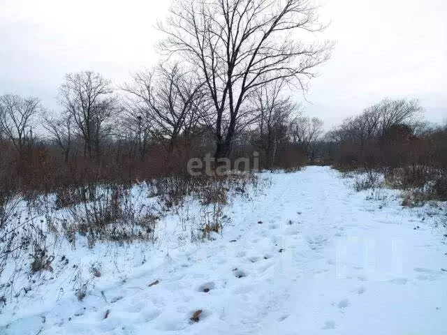 Участок в Пенза, Октябрьский район, микрорайон Северная Поляна (5 м) - Фото 1