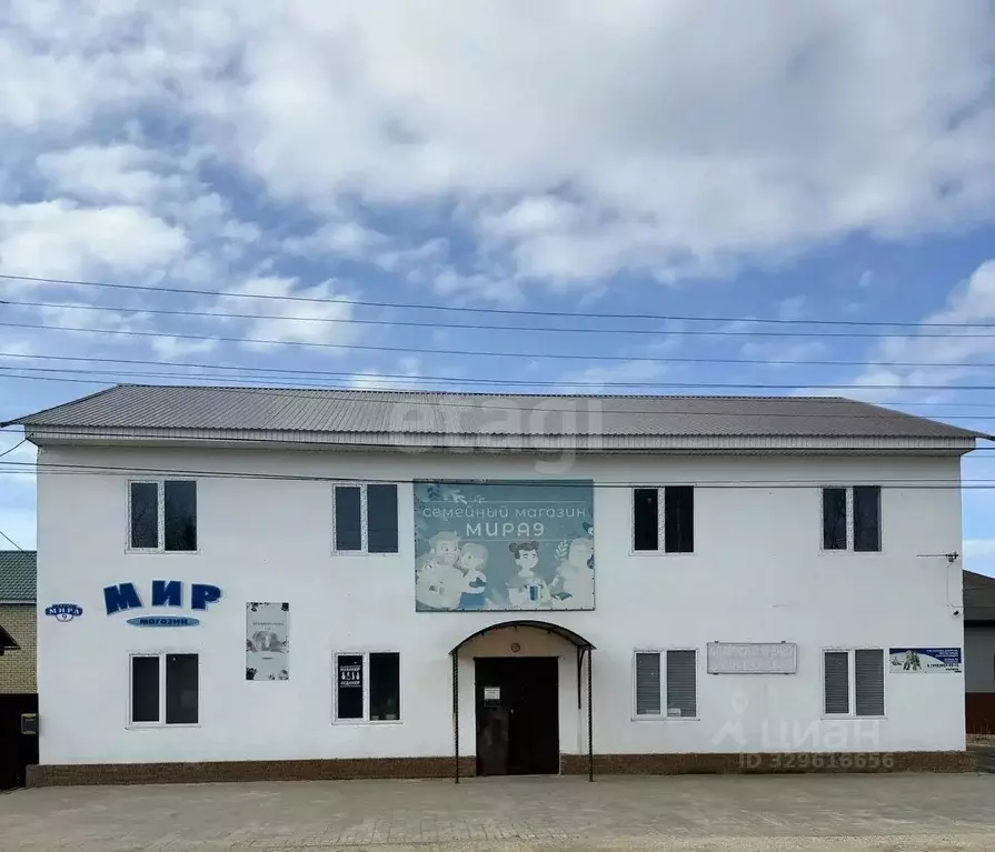 Торговая площадь в Ярославская область, Некрасовское рп ул. Мира, 9 ... - Фото 1