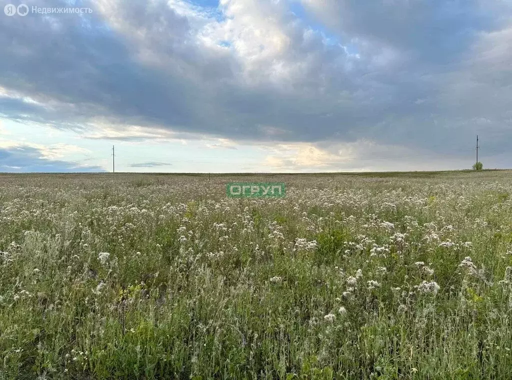 Участок в Мокшанский район, Рамзайский сельсовет, село Рамзай (10 м) - Фото 0