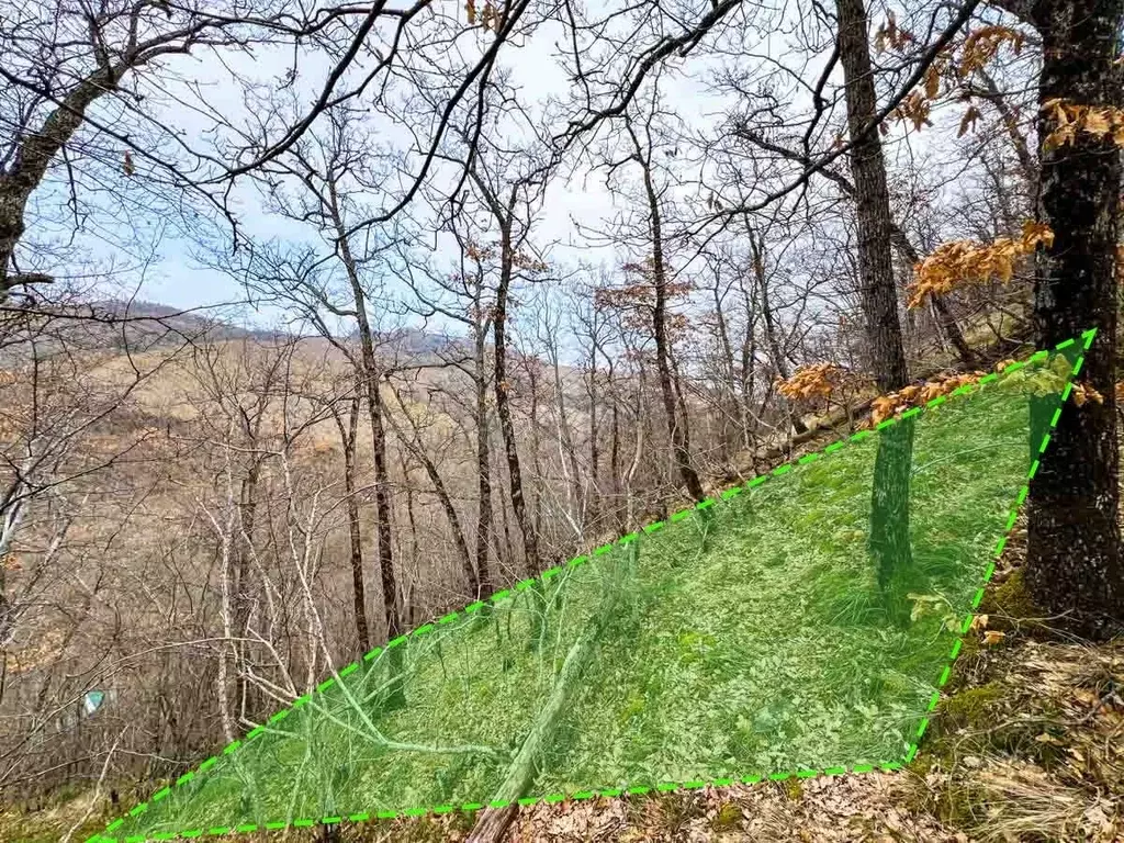 Участок в Крым, Алушта городской округ, с. Малый Маяк  (8.0 сот.) - Фото 0