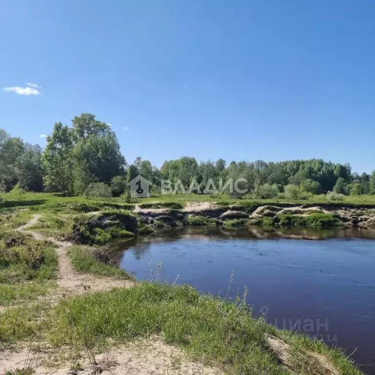 Участок в Владимирская область, Судогодский район, Лавровское ... - Фото 1