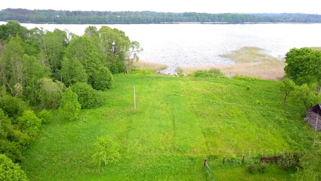 Участок в Псковская область, Пустошкинский район, Гультяевская ... - Фото 1