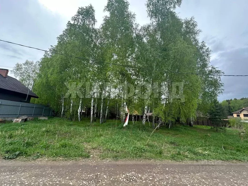 Участок в Новосибирская область, Новосибирский район, Мочищенский ... - Фото 1