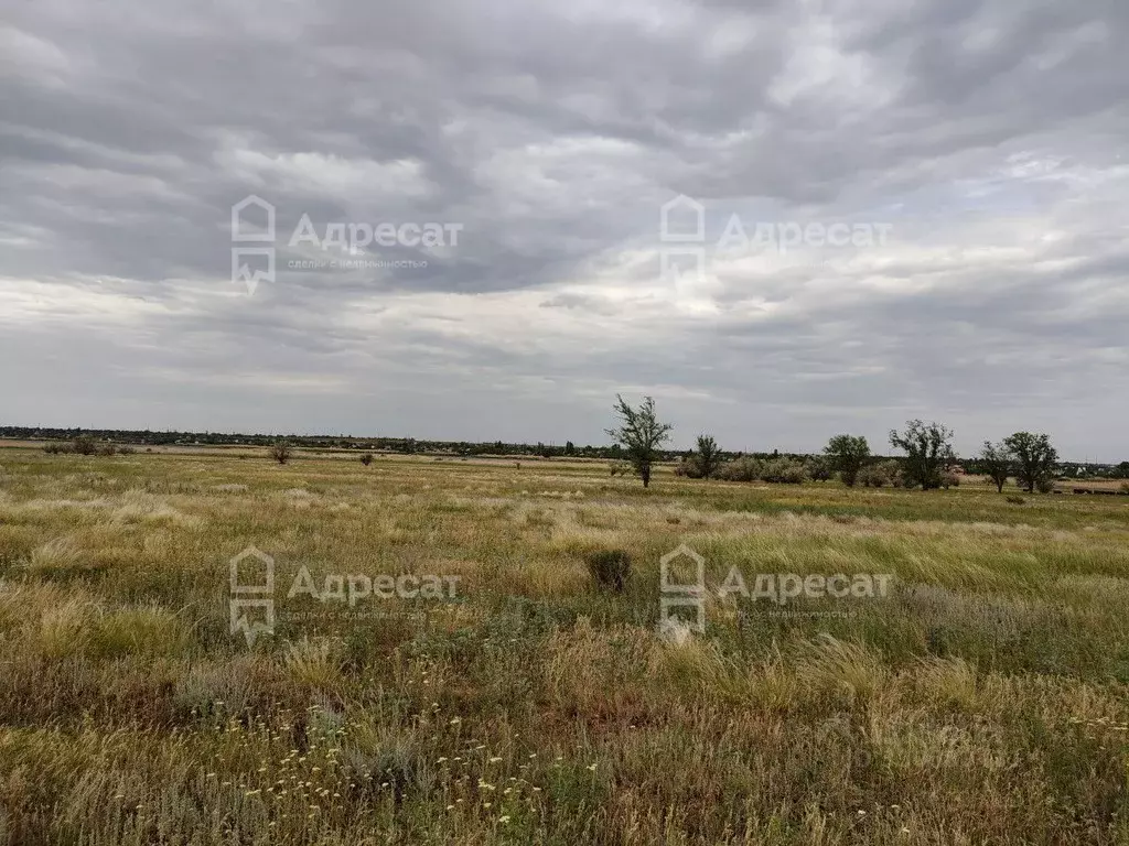 Участок в Волгоградская область, Волгоград ул. Курганская (8.71 сот.) - Фото 2