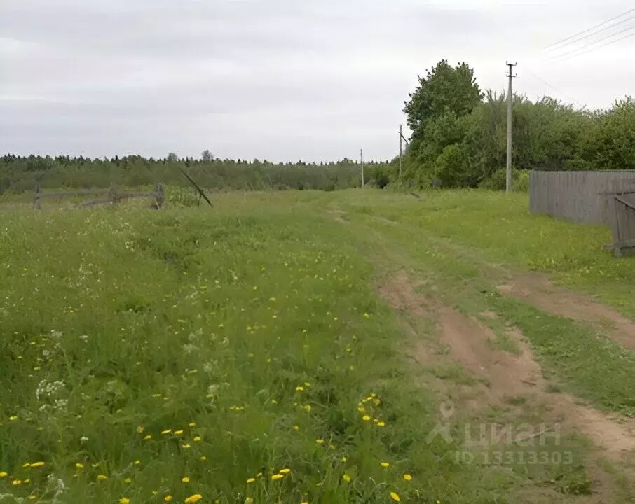 Участок в Вологодская область, Череповецкий район, д. Мархинино  (14.5 ... - Фото 0