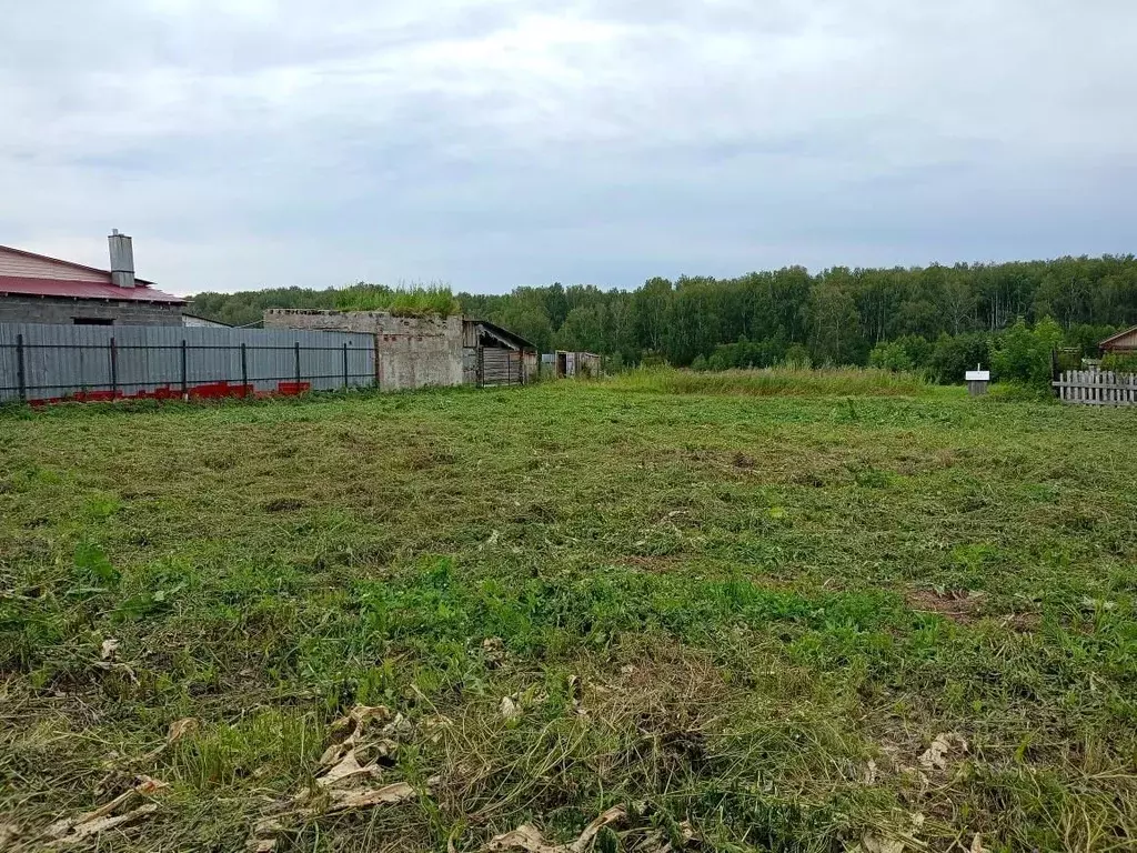 Участок в Челябинская область, Сосновский муниципальный округ, д. ... - Фото 2