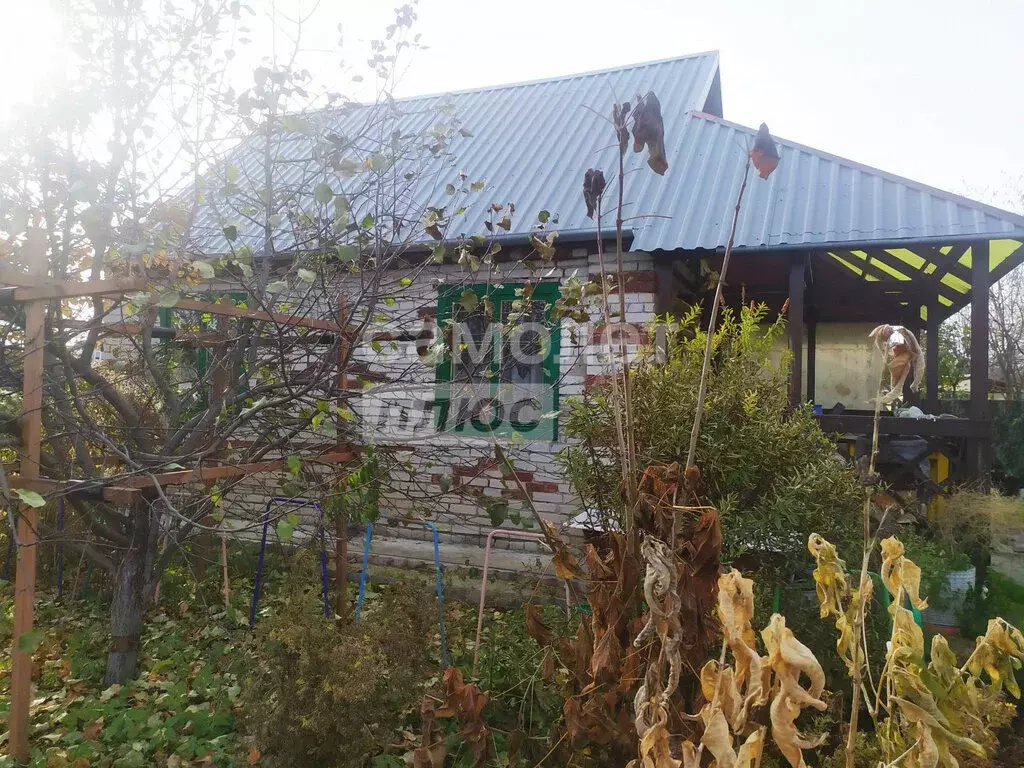 Дом в Курган, СНТ Дельфин (24 м) - Фото 1