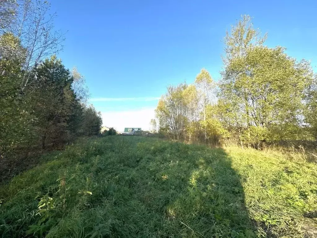 Участок в Владимирская область, Ковровский район, Малыгинское с/пос, ... - Фото 2