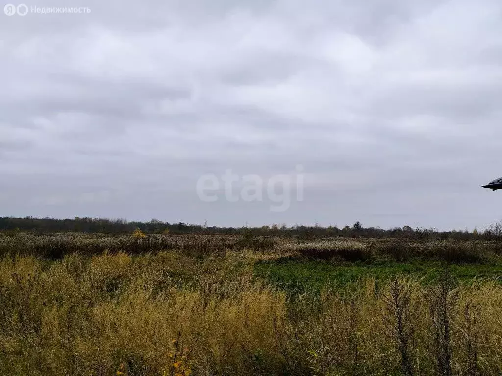 Участок в Калининградская область, Гурьевский муниципальный округ, ... - Фото 1