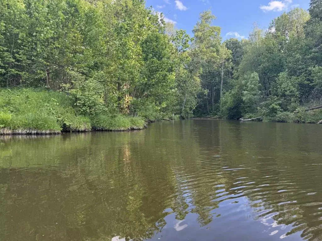 Участок в Тульская область, Заокский район, Малаховское с/пос, Нова ... - Фото 2