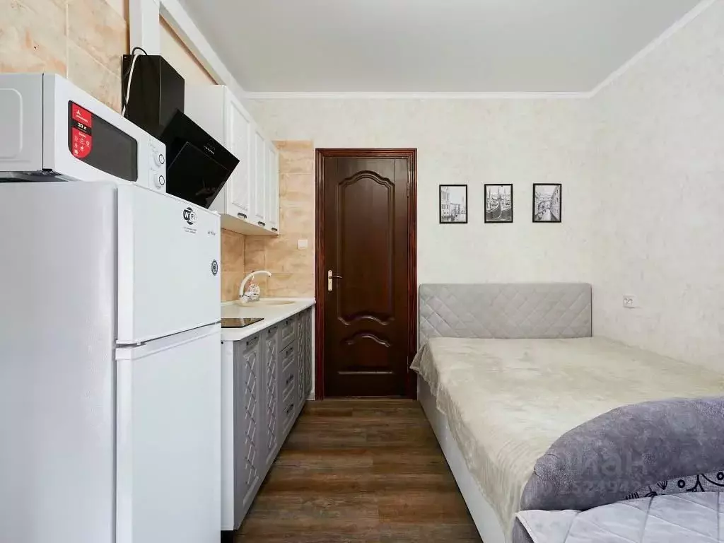 Студия Ставропольский край, Кисловодск Пикетный пер., 12 (30.0 м) - Фото 1