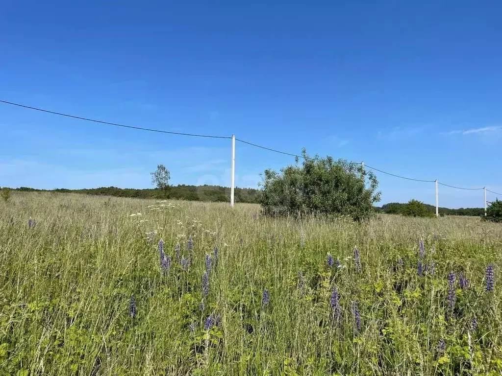 Участок в Калининградская область, Зеленоградский муниципальный округ, ... - Фото 1