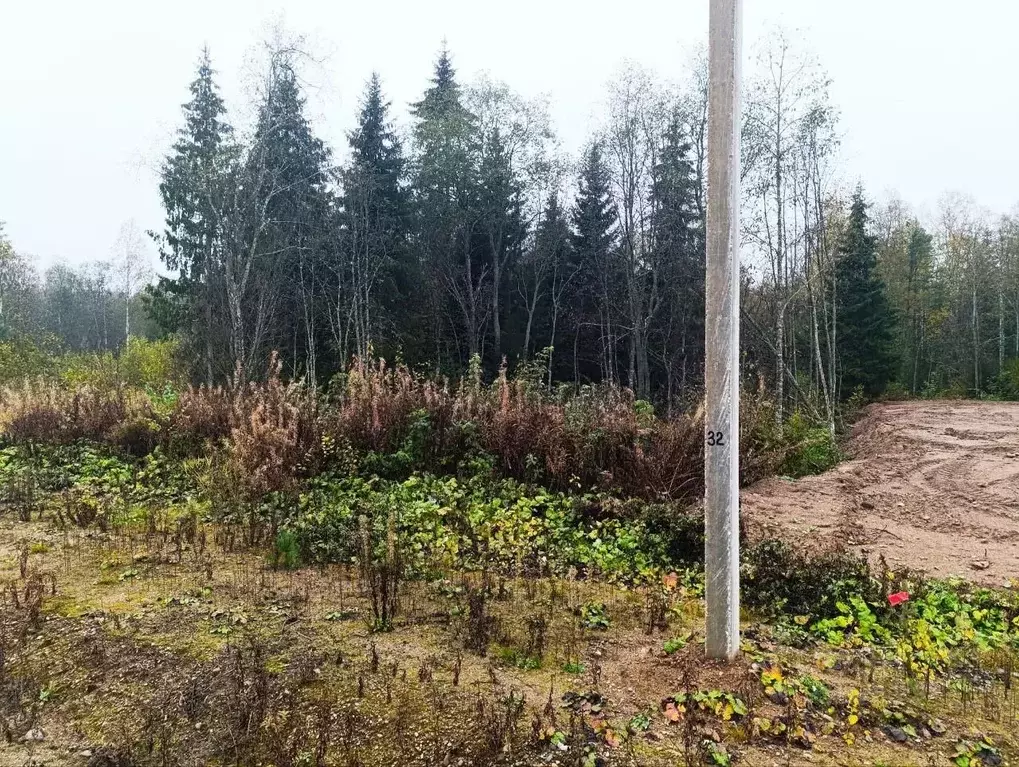 Участок в Новгородская область, Валдай ул. Алексея Маресьева (15.0 ... - Фото 1