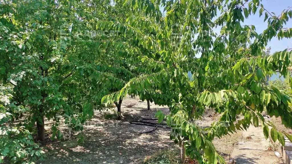 Дом в Волгоградская область, Волгоград Коломенская ул. (230 м) - Фото 1