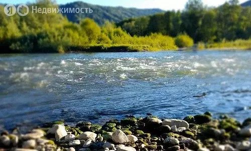 Участок в Краснощёковский район, Чинетинский сельсовет, село Чинета ... - Фото 0