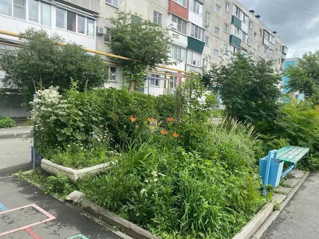 3-к кв. Курганская область, Курган ул. Перова, 8 (63.0 м) - Фото 1