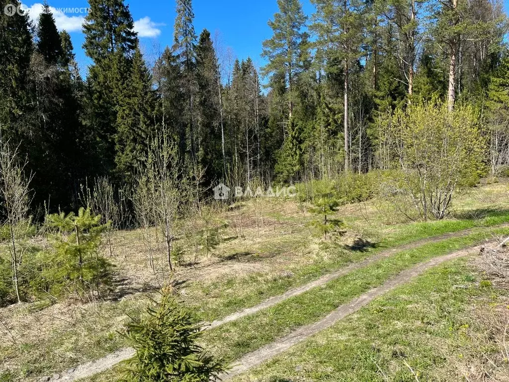 Участок в Республика Карелия, Кондопожский муниципальный район, ... - Фото 1