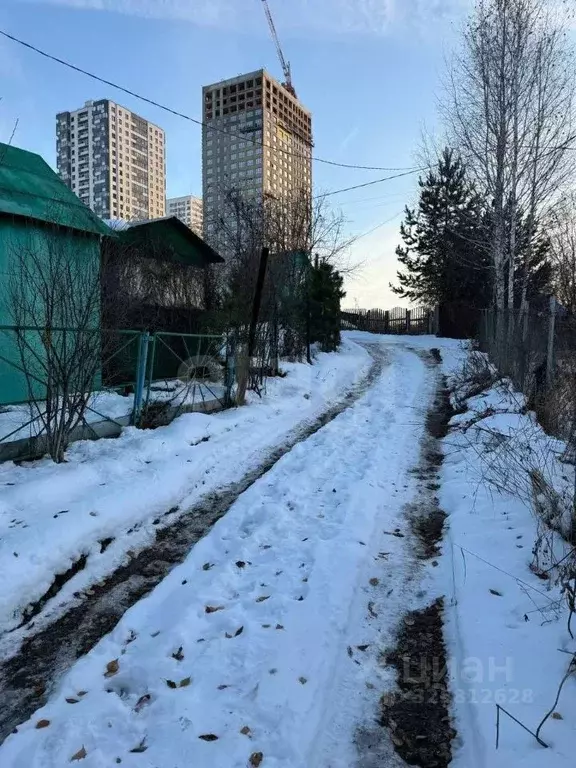 Участок в Новосибирская область, Новосибирск СОСН 7-й Ветеран тер., ... - Фото 2