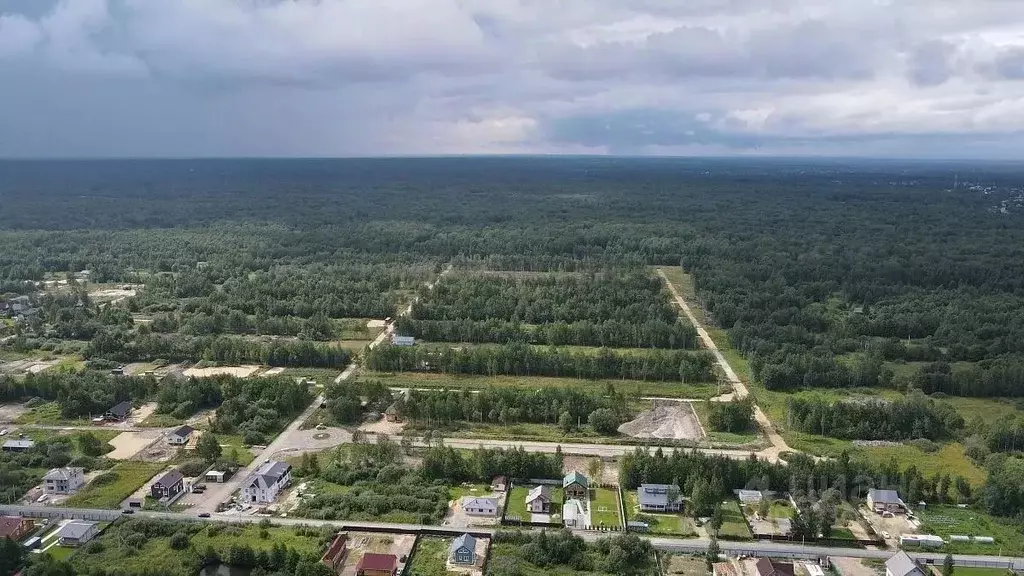 Участок в Ленинградская область, Всеволожский район, Рахьинское ... - Фото 1