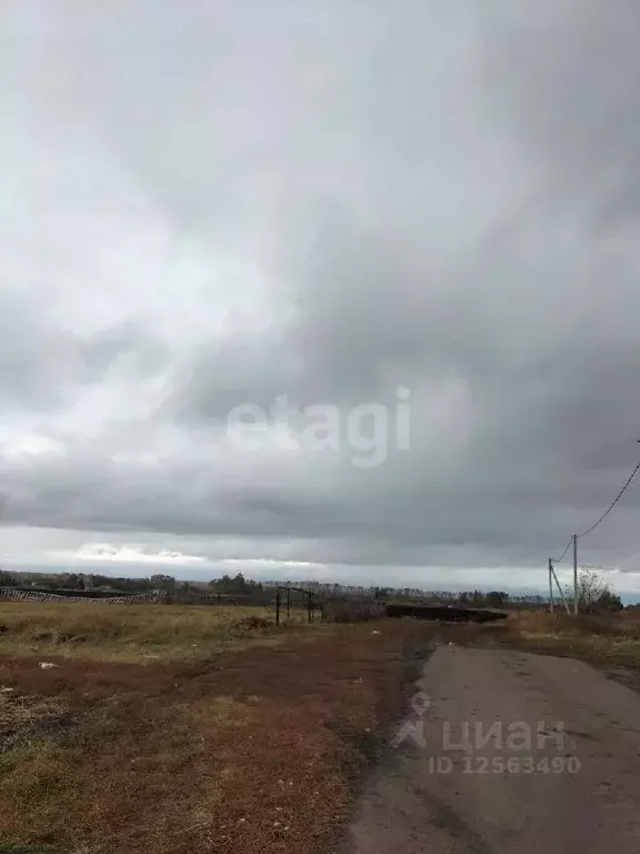 Участок в Воронежская область, с. Верхняя Хава ул. Новая (10.0 сот.) - Фото 0