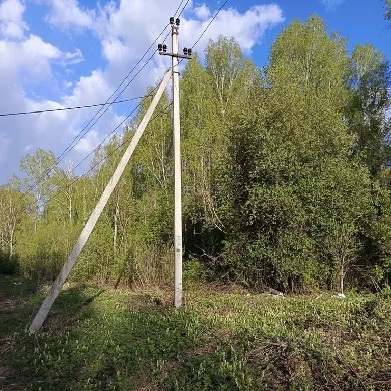 Участок в Алтай, Майминский район, с. Майма ул. Маргелова (10.0 сот.) - Фото 2