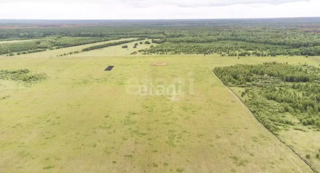 Участок в Тюменская область, Тюменский район, д. Речкина  (10.0 сот.) - Фото 1