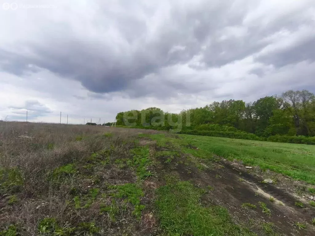 Участок в Белгородский район, село Стрелецкое (15 м) - Фото 1