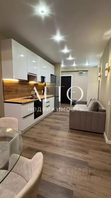 1-к кв. Краснодарский край, Сочи Пластунская ул., 104Б (41.0 м) - Фото 2