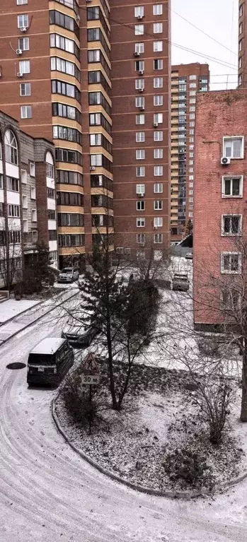 2-к кв. Новосибирская область, Новосибирск Ельцовская ул., 6 (51.2 м) - Фото 1