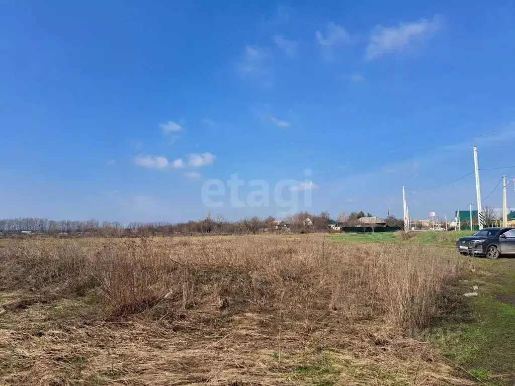 Участок в Воронежская область, Новоусманский район, Усманское 1-е ... - Фото 1