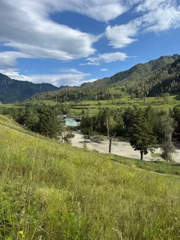 Участок в Алтай, Чемальский район, Чемальское с/пос  (7.5 сот.) - Фото 1