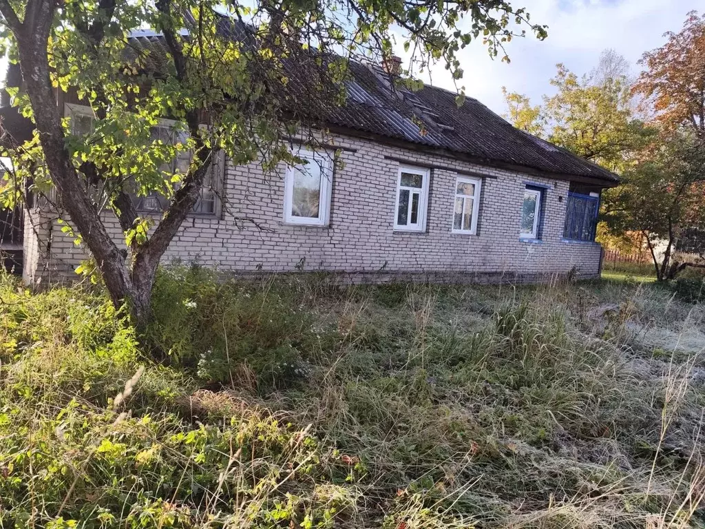 1-к кв. Псковская область, Плюсса рп ул. Римского-Корсакова, 22А (45.0 ... - Фото 1