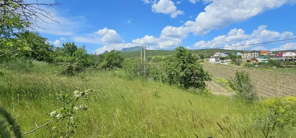 Участок в Крым, Алушта ул. Рябиновая (4.8 сот.) - Фото 2