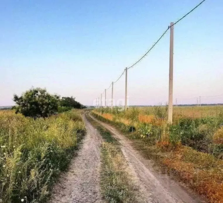 Купить Земельный Участок В Цибанобалке Анапского Района