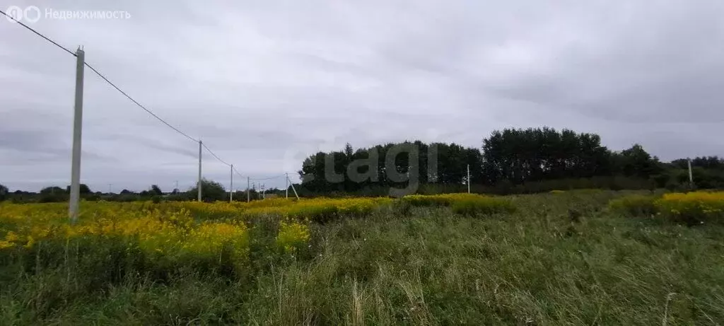 Участок в посёлок Родники, Калининградская улица (10 м) - Фото 1
