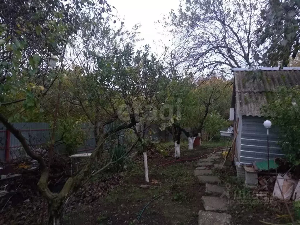 Дом в Краснодарский край, Геленджик городской округ, Широкая Щель ... - Фото 2