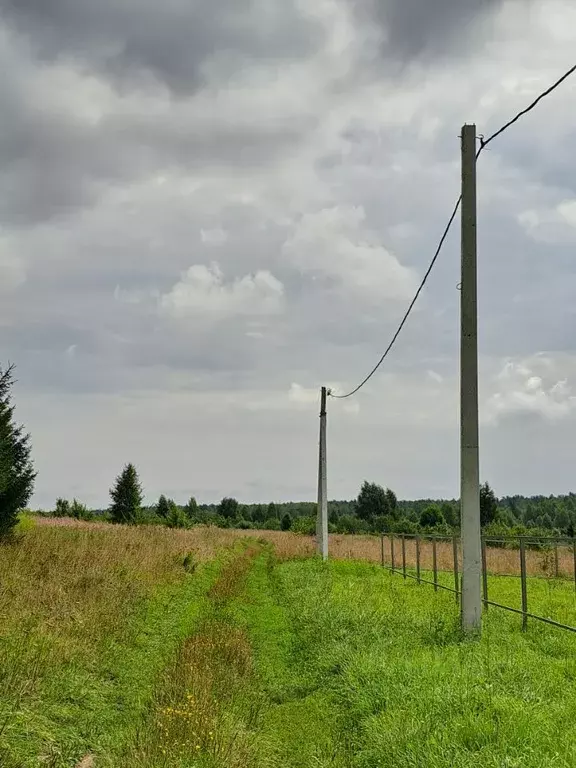 Участок в Ярославская область, Тутаевский муниципальный округ, с. ... - Фото 2