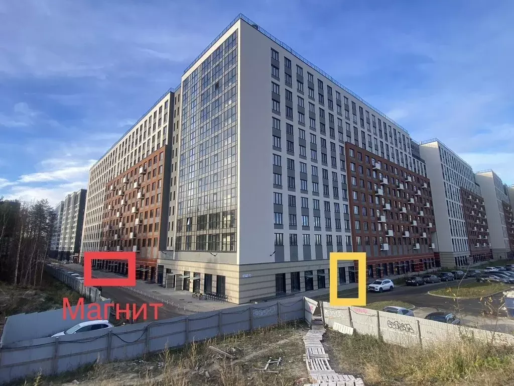 Помещение свободного назначения в Санкт-Петербург аллея Арцеуловская, ... - Фото 2