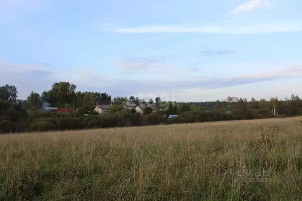 Участок в Псковская область, Пушкиногорье городское поселение, д. ... - Фото 0