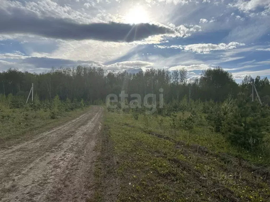 Участок в Тюменская область, Тюменский район, д. Елань 14 (6.67 сот.) - Фото 0