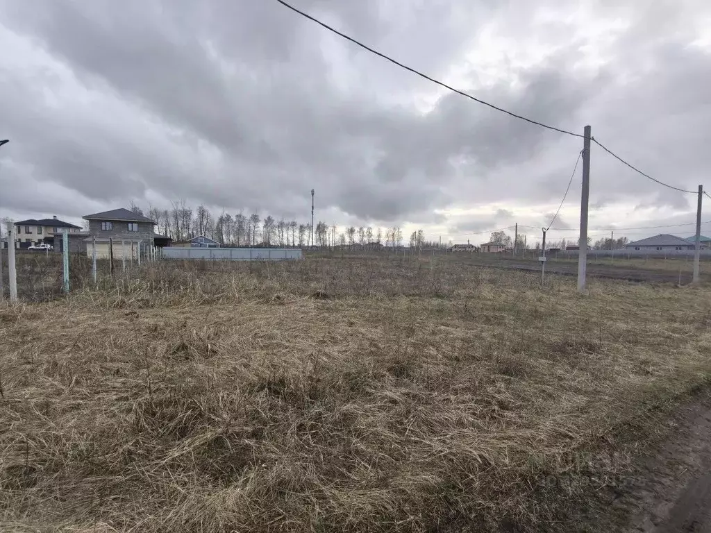 Участок в Ульяновская область, Ульяновск Лесной СТ, ул. Верности (8.0 ... - Фото 2