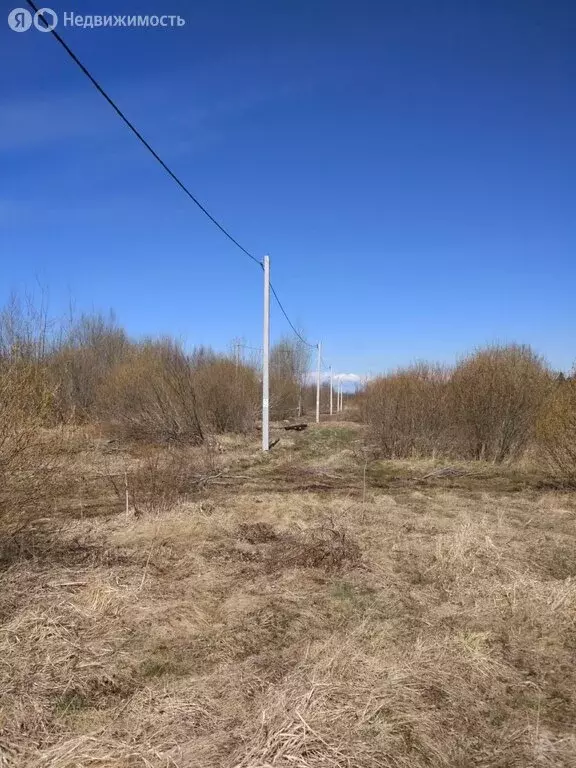 Участок в Волосовский район, Большеврудское сельское поселение, ... - Фото 1