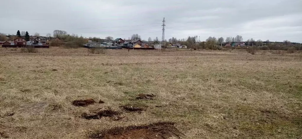Участок в Московская область, Талдомский городской округ, с. ... - Фото 2