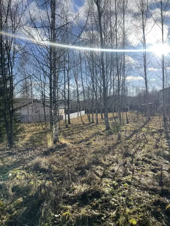 Участок в Московская область, Раменский городской округ, д. Васильево ... - Фото 0