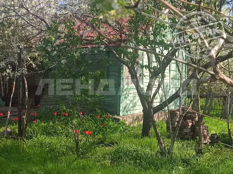 Участок в Ростовская область, Новочеркасск № 15 садовое товарищество, ... - Фото 0